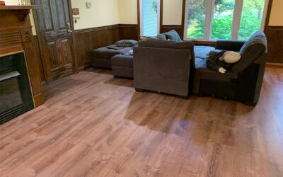 Flooring Installation: Enhancing Comfort and Style in Farragut Residences