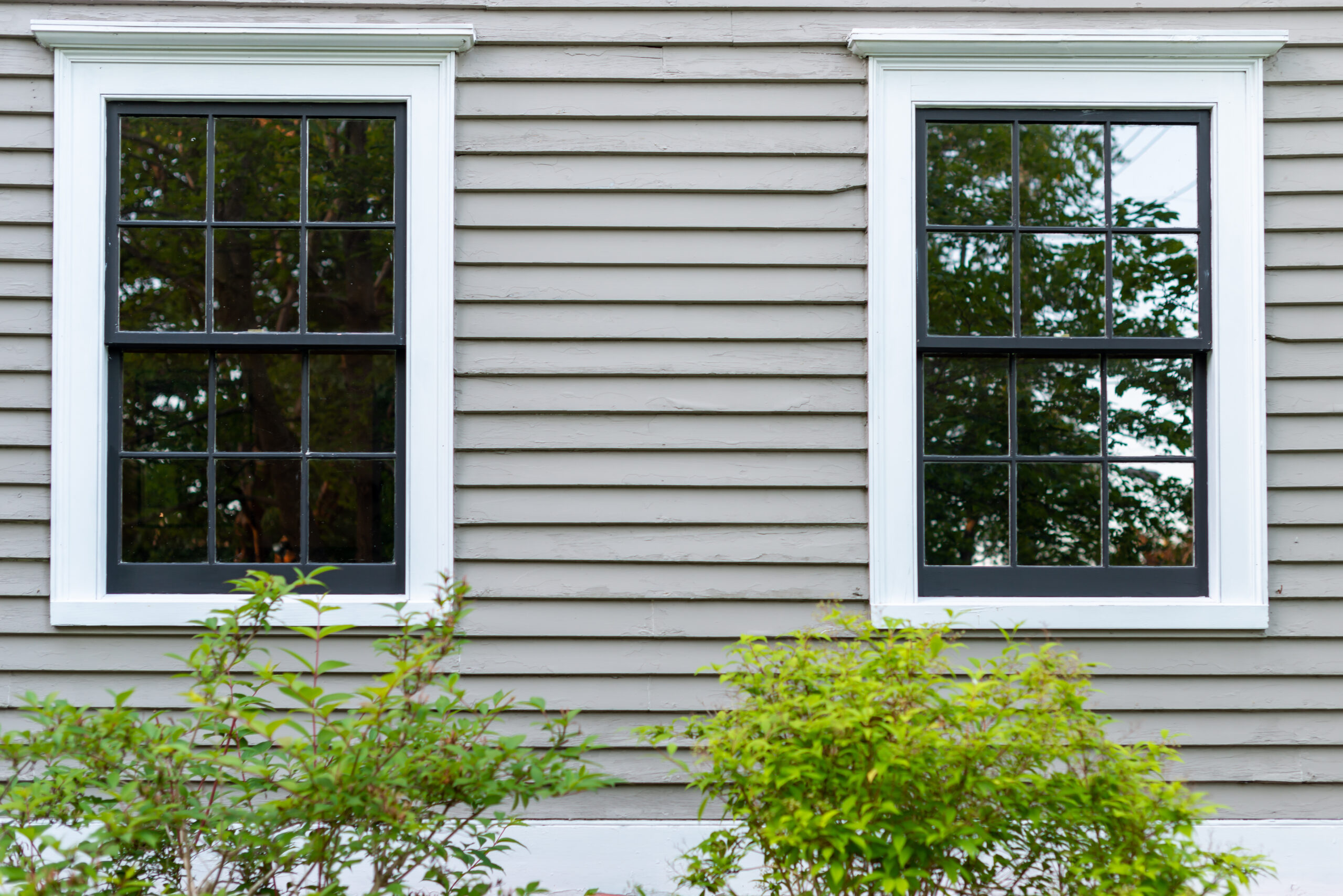 home window replacement